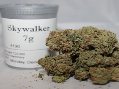 Buy Skywalker OG marijuana strain